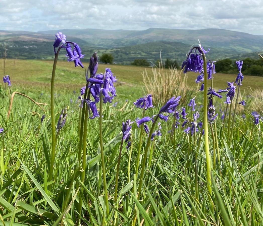Вилла Pant Llwyd Farm Llangynidr Экстерьер фото