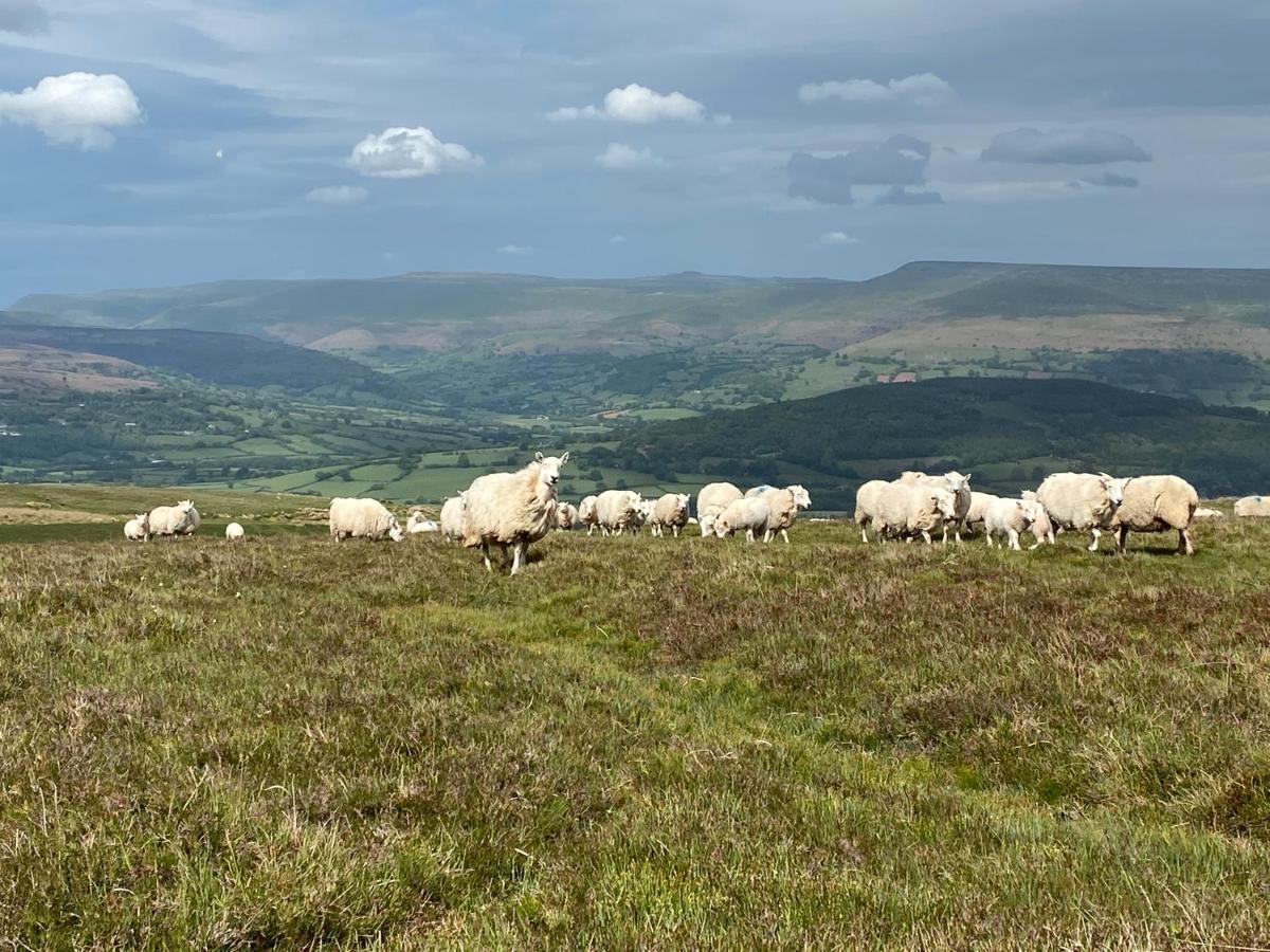 Вилла Pant Llwyd Farm Llangynidr Экстерьер фото
