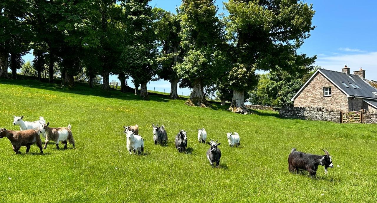 Вилла Pant Llwyd Farm Llangynidr Экстерьер фото